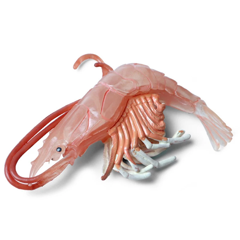 

Baby Biology Toys Lobster Marine Life Animal Model Figure Statue Toy Plastic Simulation Marine Life Shrimp Toy For Baby