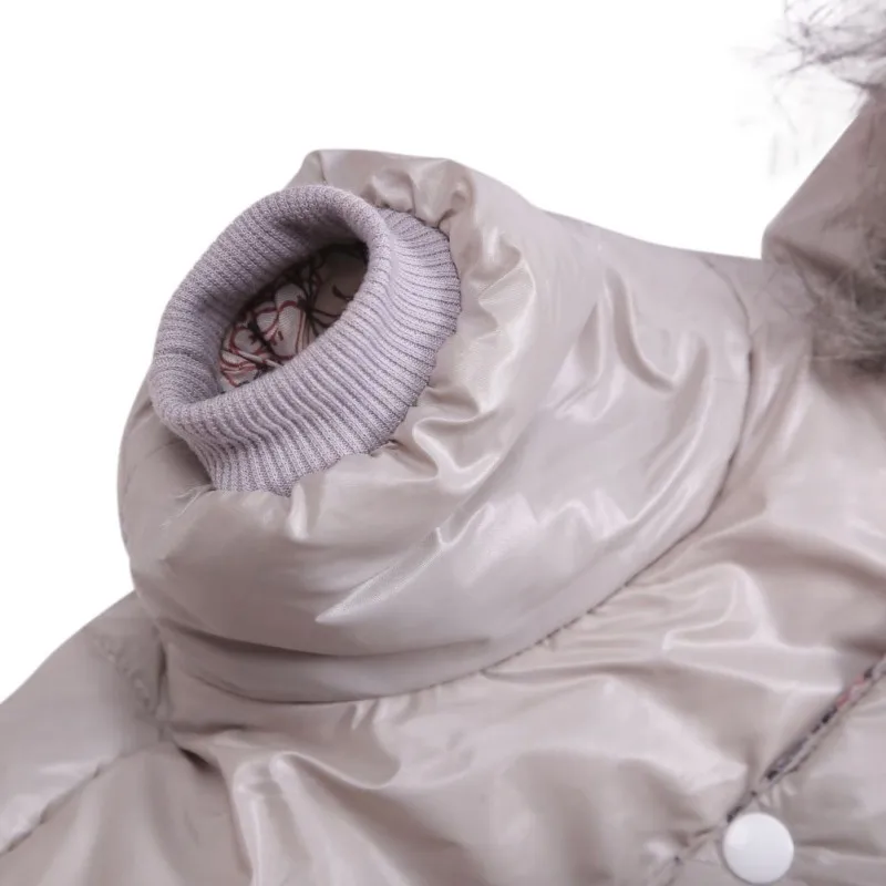 Водонепроницаемая теплая куртка для собак одежда с капюшоном щенков чихуахуа