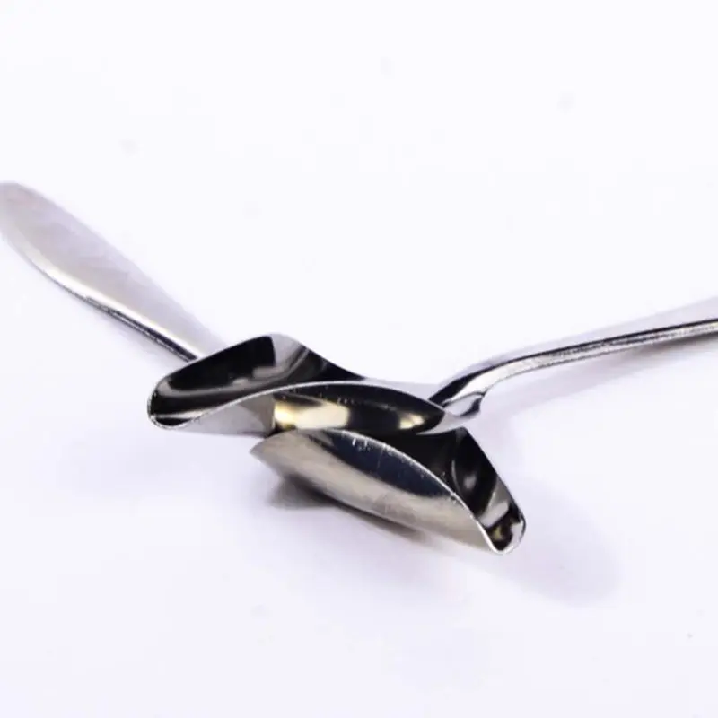 

5Pcs Baby Bird Pointed Feeding Spoon Stainless Steel Milk Medicine Parrot Feeder