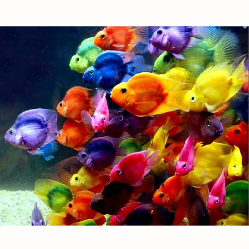 5d алмазная живопись сделай сам вышивка крестиком Золотая рыбка полная круглая