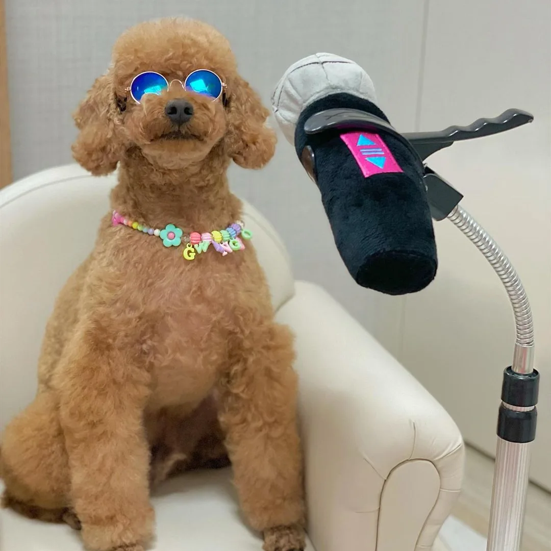 Ins модная игрушка для собак Ktv с микрофоном погремушка тренировок комната песен