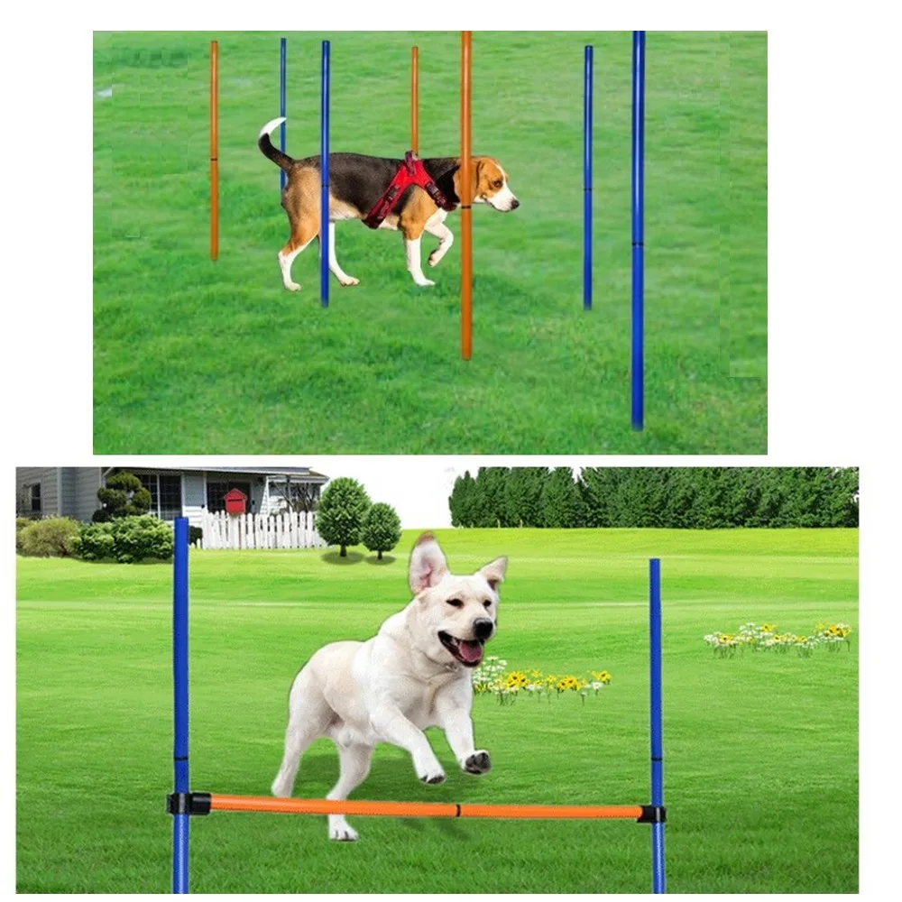 Conjunto de equipo de entrenamiento de agilidad para perros, Kit de entrenamiento de obst&aacute;culos, varillas de agilidad para perros, tren de salto, silbato, t&uacute;nel, bolsa de transporte-1