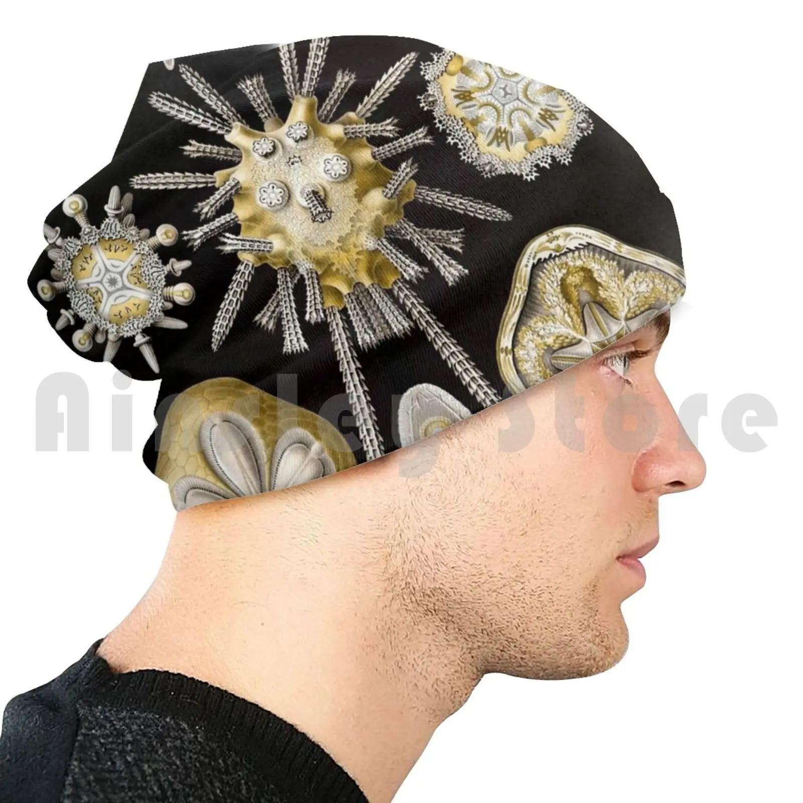Ernest Haeckel Echinidea мелкое искусство литография морские шапочки вязаная шапка хип-хоп