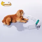 Медицинский аэрозольный ингалятор для домашних животных Canack, прокладка для астматиков, с силиконовой маской, дозированный ингалятор для кошек и собак