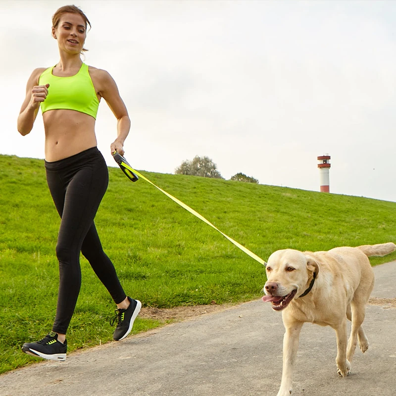 Автоматическая телескопическая золотистая цепь для домашних животных флисовая