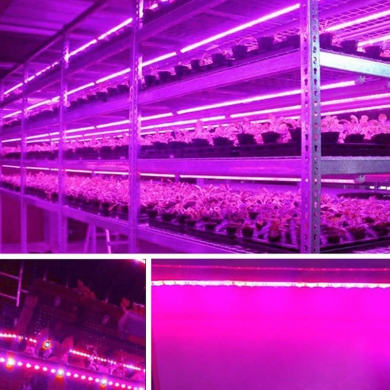 

LED Grow Light Full Spectrum 5M LED Strip Light 5050 LED Plant Phyto Growth Lamp New
