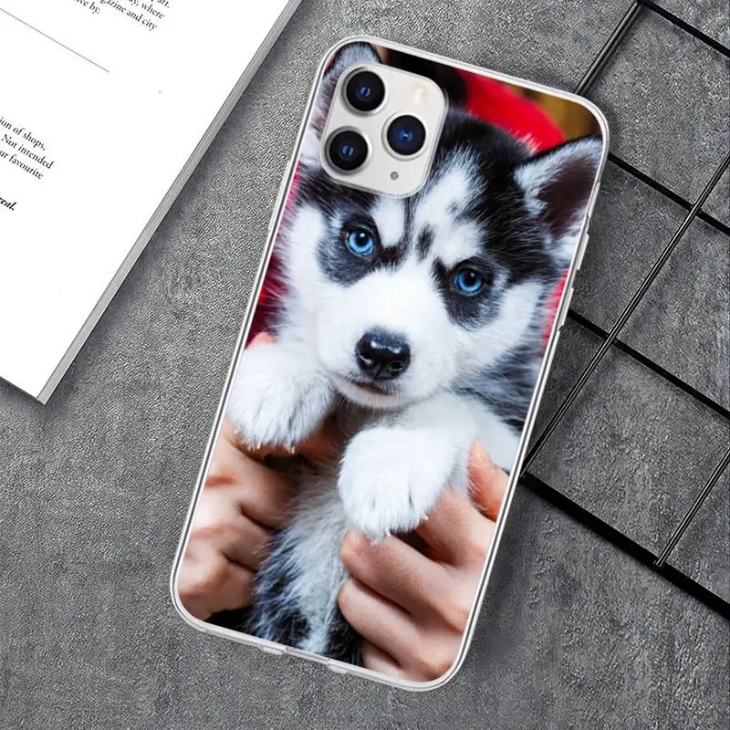 

Animal Husky Cute Puppy Dog Transparent Phone Case For Xiaomi Redmi K30s Ultra Note 9s 9 Pro Max Mi 10 Lite 11 10T Pro Cover