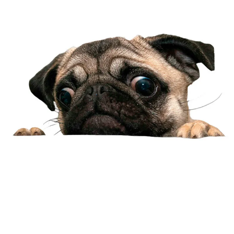 

Pug Dogs Watch Snail Car Sticker Cartoon Car Styling Wall Home Glass Window Door Laptop Truck Vinyl Decals 20cmX10cm