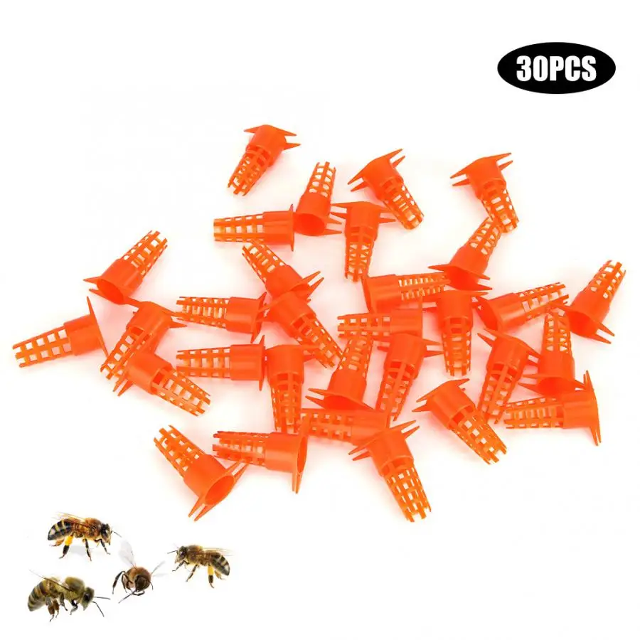 30 шт. пластиковые клетки для пчелы|Инструменты пчеловодства| |
