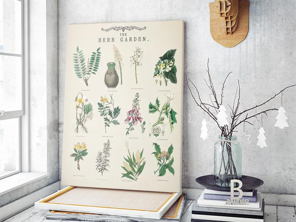 Винтажные травы сад растения образовательные плакаты настенные художественные