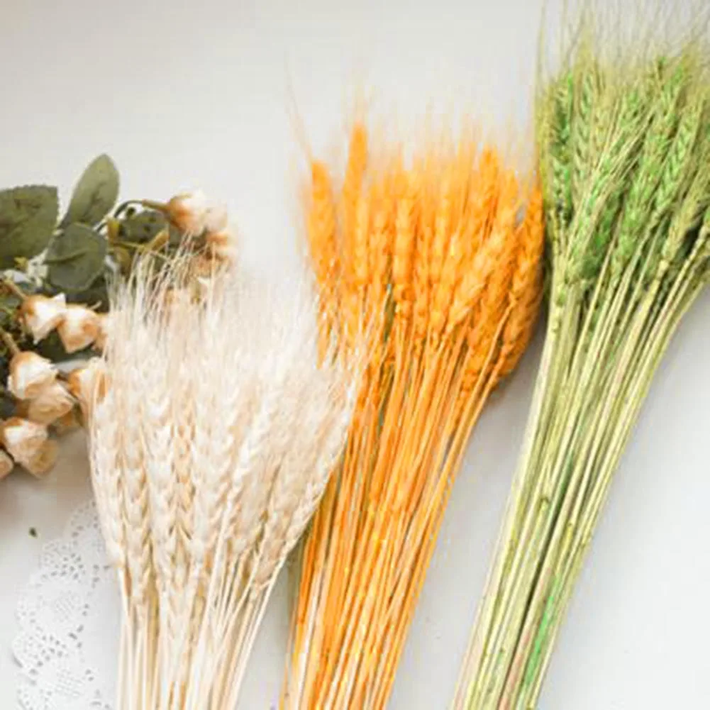 Растения Моделирование сушеные цветы Букеты украшение для дома Декор гостиной DIY