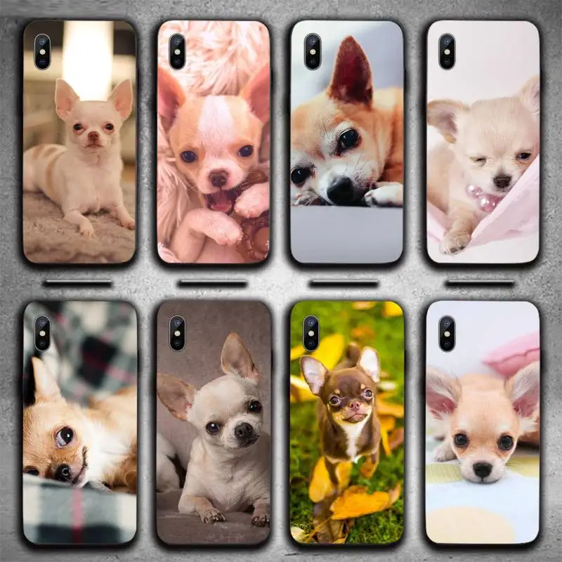 

Cute animal Chihuahua Dogs Phone Case For iphone 12 11 13 7 8 6 s plus x xs xr pro max mini