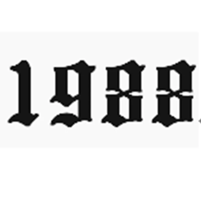 1988 Год, ожерелье из нержавеющей стали для женщин, ожерелье с цифрами на заказ, ювелирные изделия на заказ, ожерелье с цифрами на год, воротник de Moda - Окраска металла: 1988