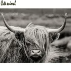 Алмазная картина 