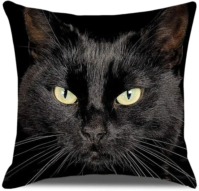 

Black Cat Pillow Covers 3D Animal Printed Cushion Case Funny Throw Pillow Covers 18x18 Inches Christmas Cushion Case