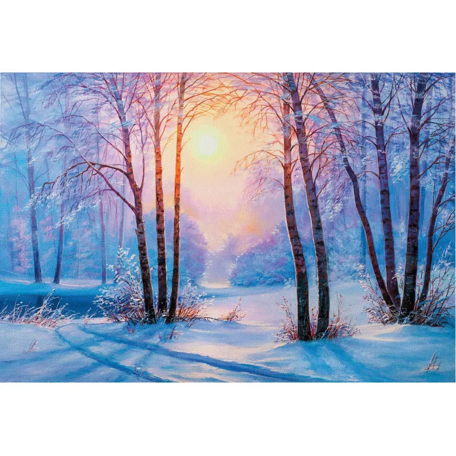

White Snowflakes and Snow Scene Backdrop Holiday Photography Background Celebration Photo Booth Studio Decor