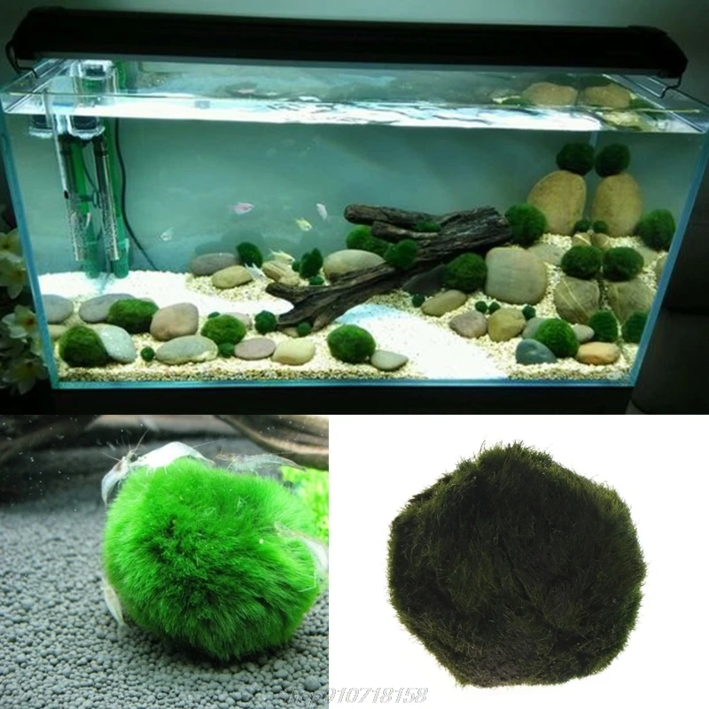 Шар для рыбы из Искусственного мха аквариум декоративный орнамент 2 5-4 5 см