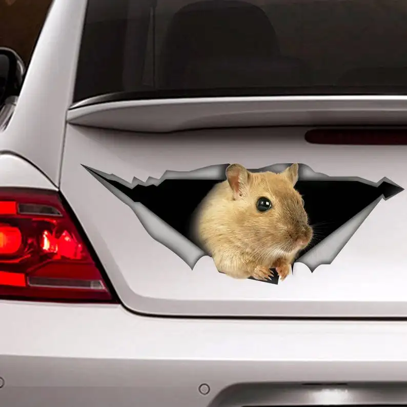 2021 Mouse decal, car decal, Vinyl decal, car decoration, animal decal, pet decal, 3D decal