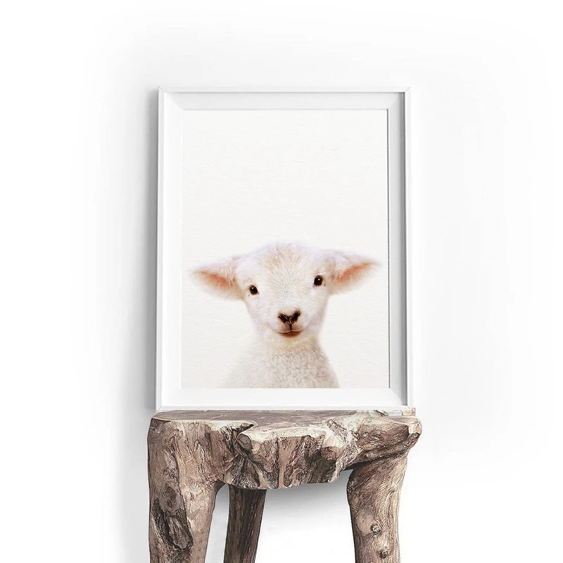 Детские животные из ягненка холст художественные принты и плакаты прекрасная