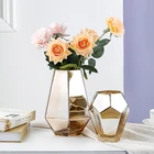 Стеклянная ваза, домашний декор, Террариум, вазы с золотыми секциями, аксессуары для украшения стола, гостиной, домашнее украшение, ваза для цветов, Декор