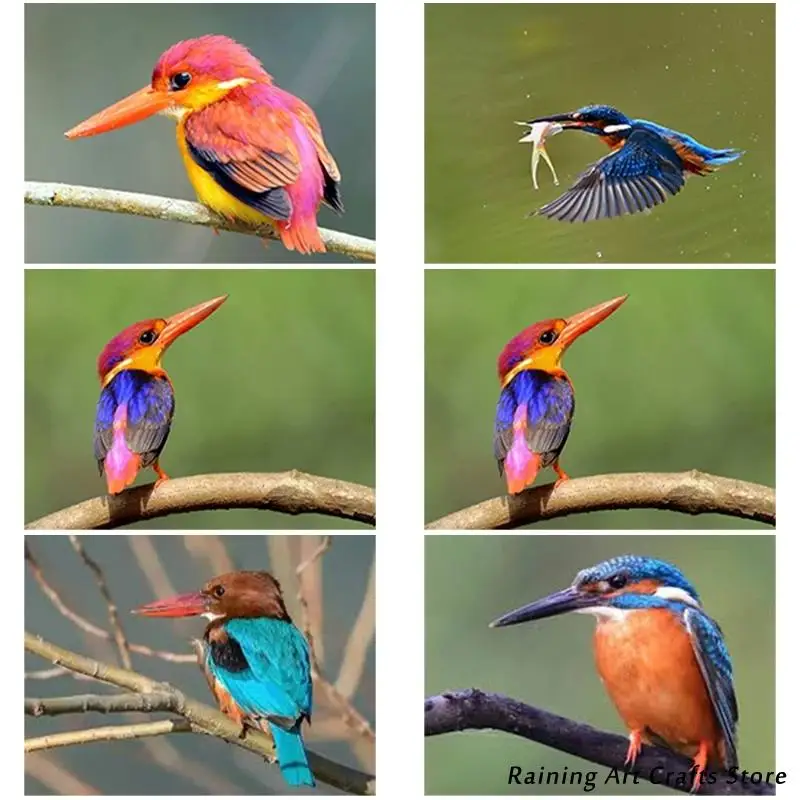 5D алмазная живопись сделай сам вышивка Kingfisher Набор для вышивки крестиком с