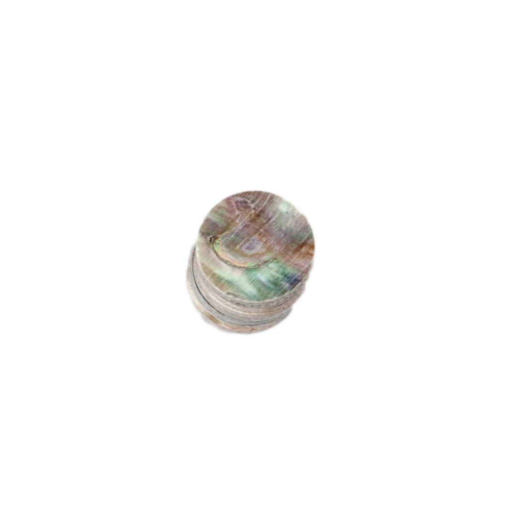 Guitar Sound Point Dot Colorful Shell 10PCS 10mm Accessories &ampPart New | Спорт и развлечения