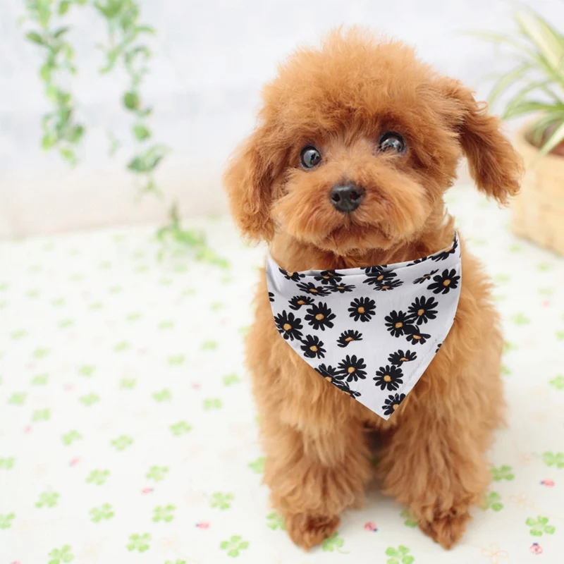 Pet Dog Floral Bandanas Scarfs Cute Daisies Printed Triangular Bibs Puppy Cats Washable Neckerchief Decorative Collar | Дом и сад