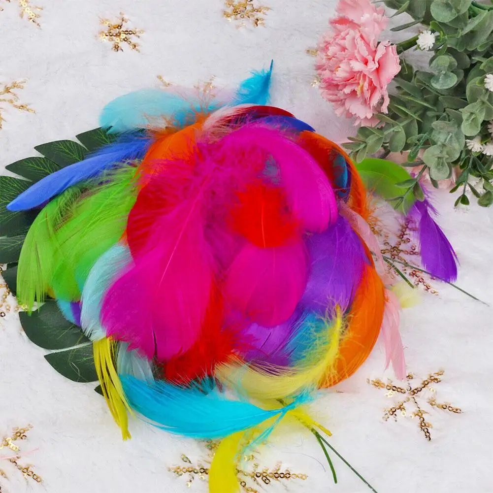 Цветное перо и гусиное в сборе подходящие ювелирные аксессуары для свадебной