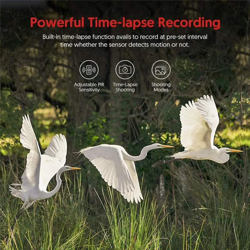 Фотоловушка PR600 камера 12 МП для охоты функция ночного видения | Безопасность и