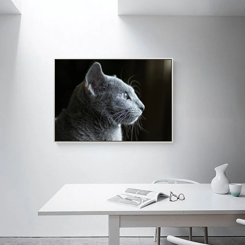 

Lovely white cat with animal oil painting and blanket art canvas painting office living room corridor home decoration mural