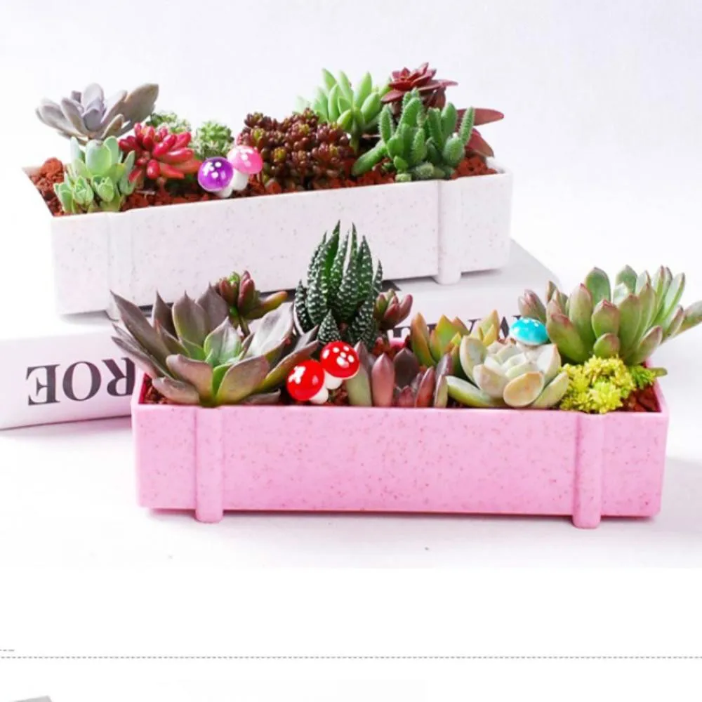 Розовый суккуленты цветочный горшок креативный прямоугольник плантатор для