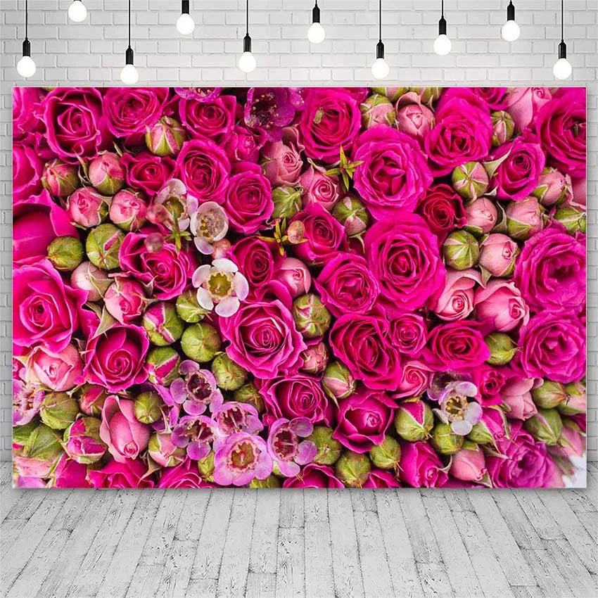 Avezano День Святого Валентина фотография фоны свадьба фото стена Роза Цветок