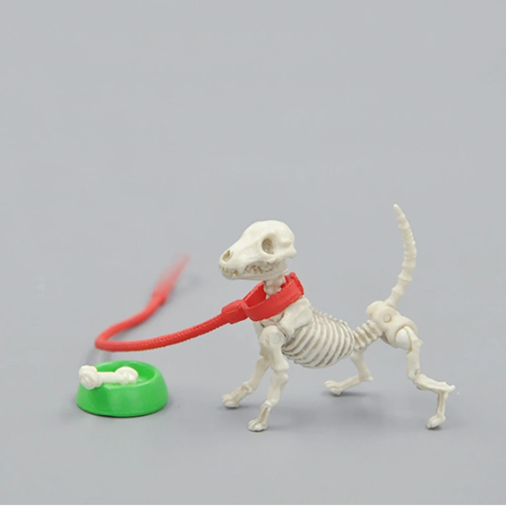 

Realistic Animal Skeleton, Halloween Dog Skeleton Decorations Puppet Bones Model Photo Props Christmas Decoration