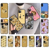 toplbpcs doge meme kabosu cute funny phone case for iphone 11 12 13 mini pro xs max 8 7 6 6s plus x 5s se 2020 xr case