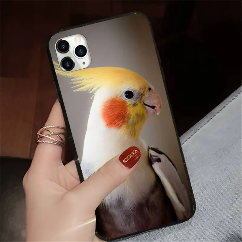 

Cute animal Chubby Cockatiel Phone Case for iPhone 11 12 pro XS MAX 8 7 6 6S Plus X 5S SE 2020 XR