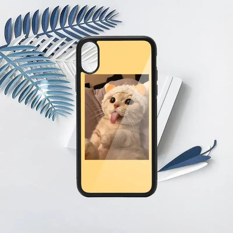 

Aesthetic Cute Animal Cat pattern Phone Case PC for iPhone 11 12 pro XS MAX 8 7 6 6S Plus X 5S SE 2020 XR