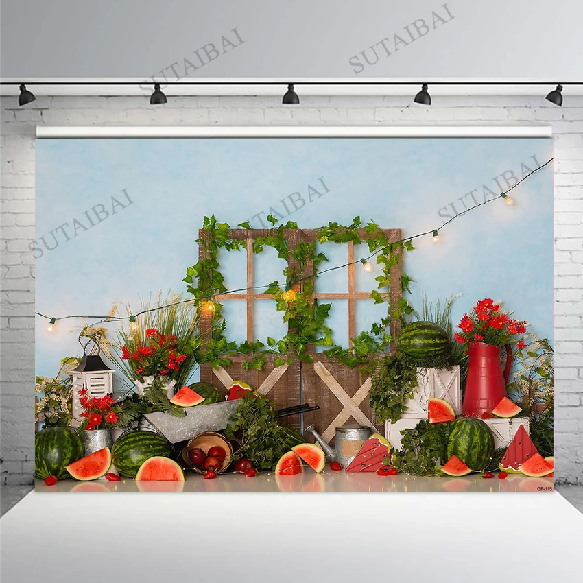 

Watermelon Photography Backdrops Summer Farmers Market Wood Door Baby Shower Birthday Cake Smash Photo Background Studio