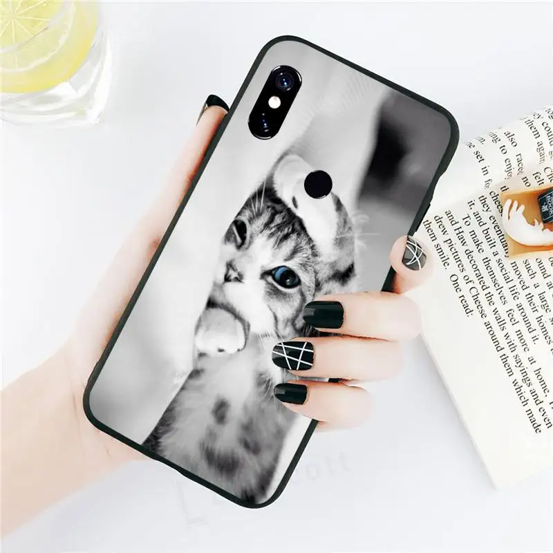 

Cute Animal Cat Phone Case black For Xiaomi Redmi mi note 7 8t 9 9t 9s 8 10 10t 11 pro lite K20 max 3