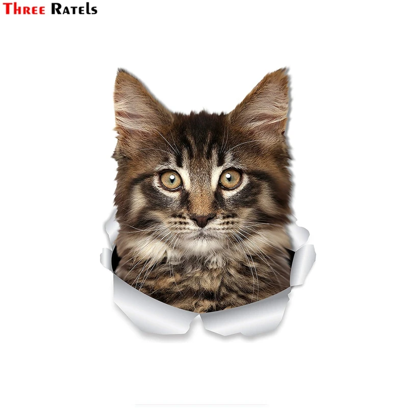 Наклейки на стену три Ratels FTC 1045 3D с изображением кота Мейн енота наклейки окно