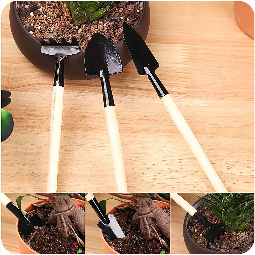 

16 Psc Succulent Planting Combination Set Portable Mini Gardening Planting Flowers Cactus Gardening Tools Home Decoration
