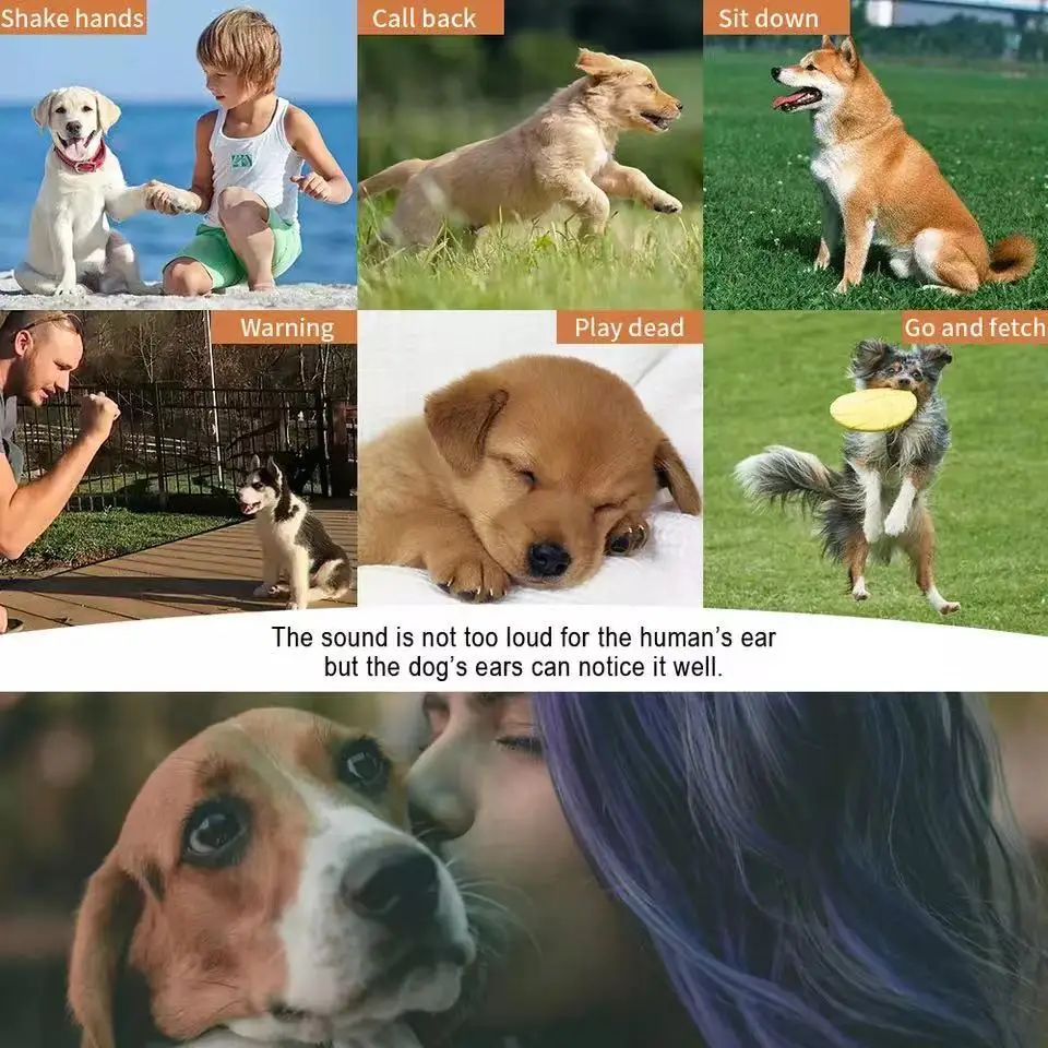 

Pet Dog Training Whistle Flute UltraSonic Sound Flute With Portable Keychain Adjustable Dog Flute Dog Bark Stop Whistle