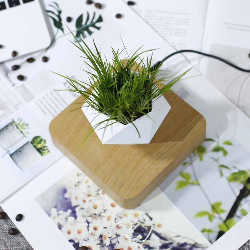

Hot Sale Levitating Air Bonsai Pot Rotation Planters Magnetic Levitation Suspension Flower Floating Pot Potted Plant Desk Decor
