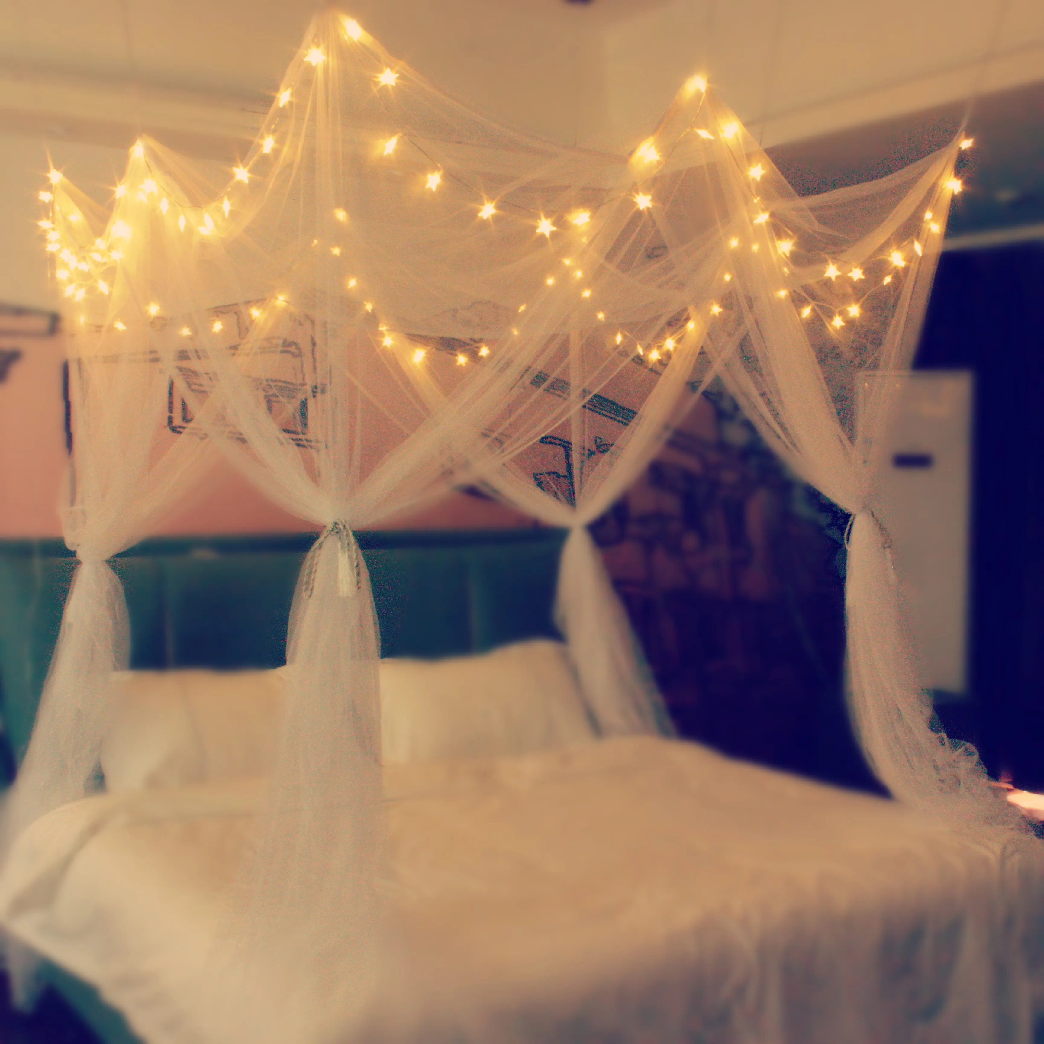 With 100 Led Star String Lights Battery Operated, Mosquito N