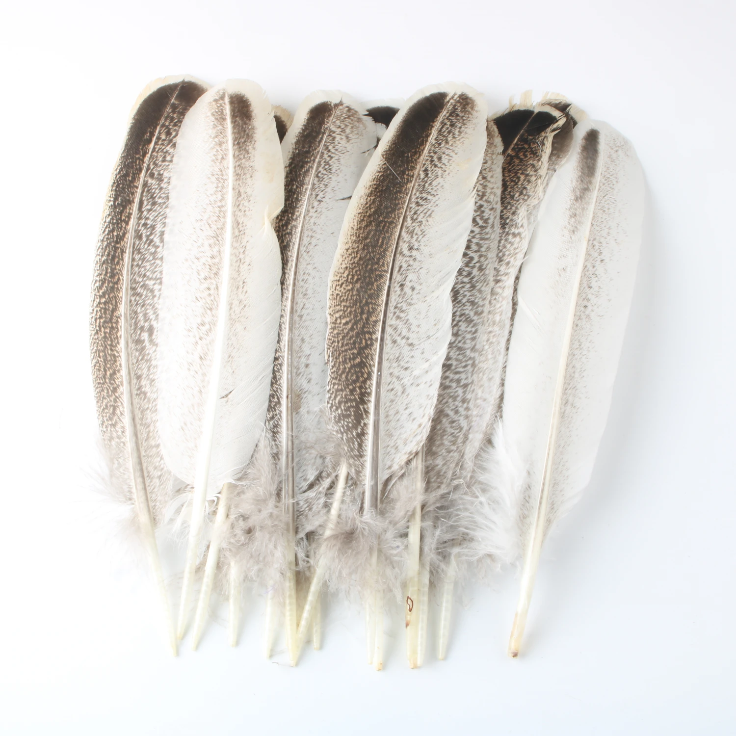 

Wholesale Natural Eagle Feathers for Crafts Jewelry Making Discount Wholesale Decoration Carnival Wedding Feathers Plumes Plumas