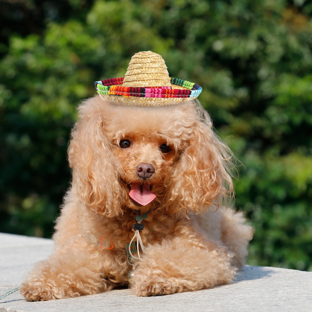 

1PC Adjustable Multicolor Trim Funny Dog Costume Sombrero Hat Mexican Party Supplies For Dogs Party Decoration Summer