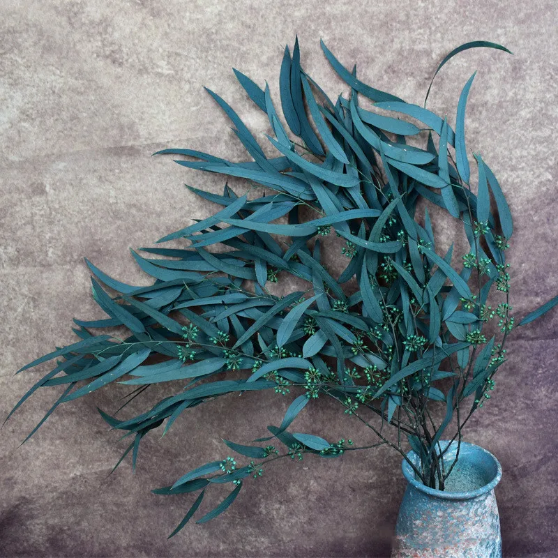 140g/50-60cm Nature Preserved Eucalyptus Millet Leaf, Floral Plant, Wedding Use Home Decoration Dry Flower Photography Props