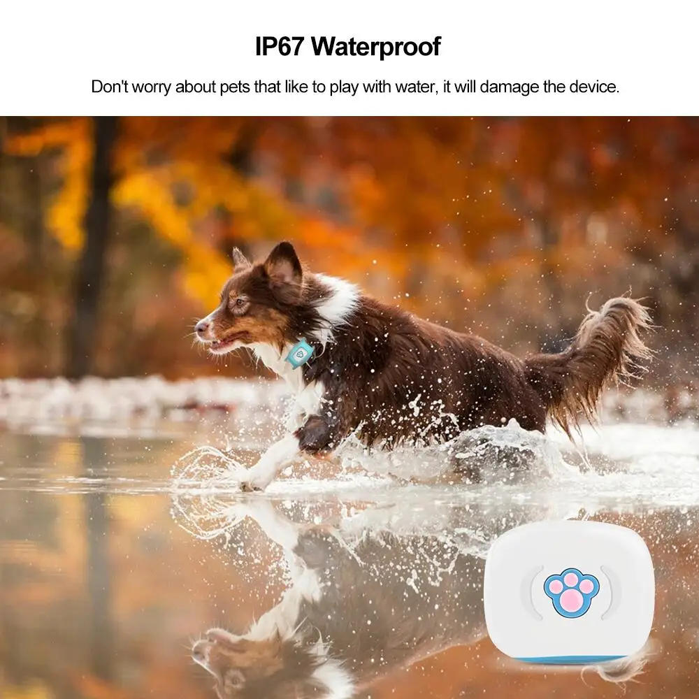 Ошейник для кошек Мини gps водонепроницаемый IP67 gps Perro A gps позиционирование гео-забор Дистанционно управляемый длительное время ожидания Pet трекер gps трекер для собак
