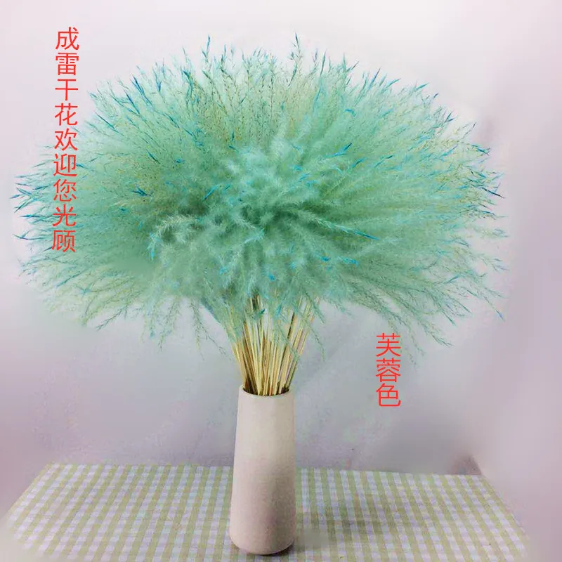 Натуральные пампасы трава Декор цветы сушеные растения свадьба букет Рождество