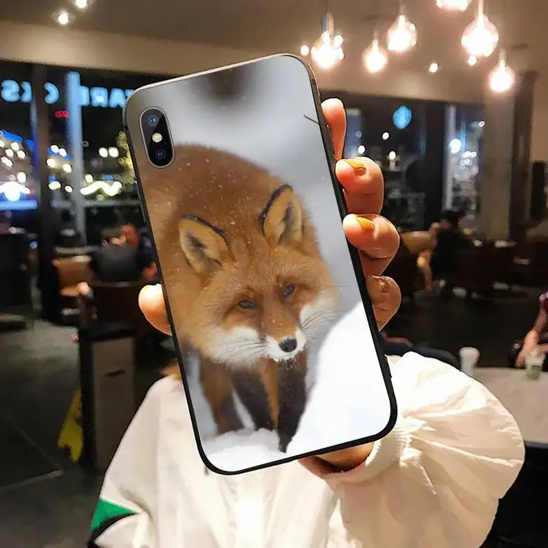 

Animal Raccoon Fox high quality Phone Case for iPhone 11 12 pro XS MAX 8 7 6 6S Plus X 5S SE 2020 XR
