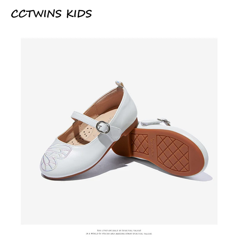 CCTWINS,  2020,  ,  ,     , , ,